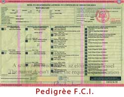 PEDIGREE FCI